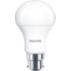 LED Bulb 100W A60M B22