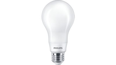 LED Filament Bulb Frosted 100W A21 E26 x2