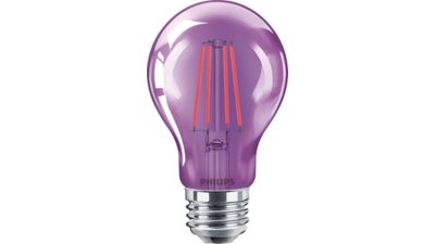 LED Foco