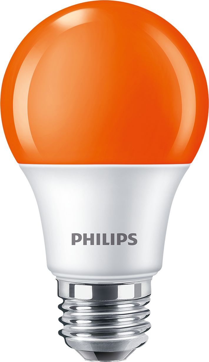 8A19/LED/ORANGE/P/ND 120V 4/1FB