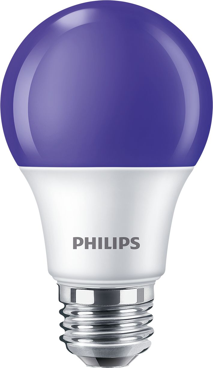 8A19/LED/PURPLE/ND 120V 4/1FB