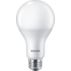 LED Bulb 150W A21 E26
