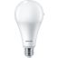 LEDBulb 22W E27 6500K W A80 1PF/6 BR