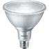 LED Reflector 250 W PAR38 E26