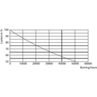 Lumen Maintenance Diagram - Master LED PAR30L 40W 30D 840 CN