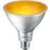 LED Reflector PAR38 E26