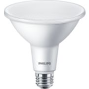 LED Reflector 120W PAR38 E27 x2