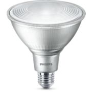 LED Reflector 80W PAR38 E27