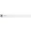 Ecofit LEDtube 1500mm 20W 865 T8 I