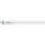 MAS LEDtube 1500mm UO 36W 830 T5
