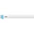 LED LEDtube Type A T8