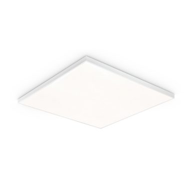 NatureConnect Daylight