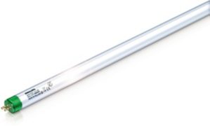 Lámparas fluorescentes y arrancadores