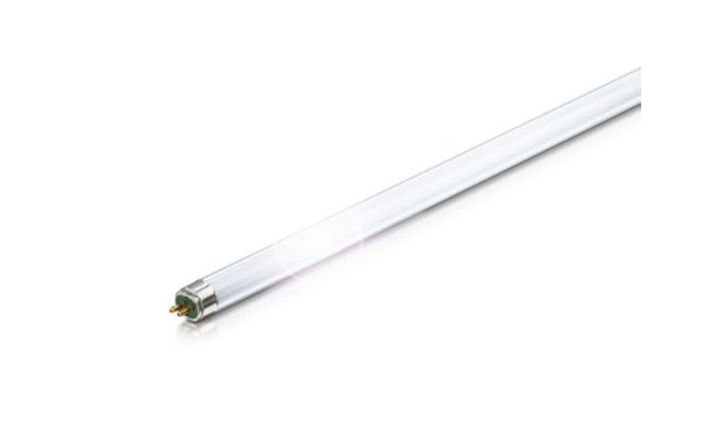 MASTER TL5 High Output