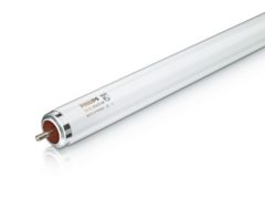 Fluorescent lamps and starters