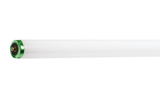 TuffGuard Coated T12
