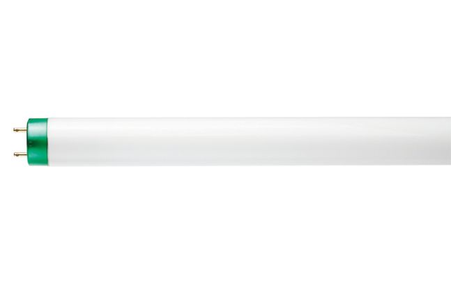 Advantage T8