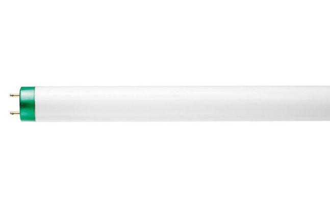 Energy Advantage Extra Long Life T8