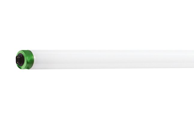 PLUS T8 High Output