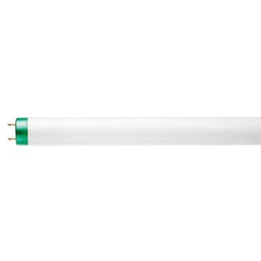 T8 Standard F T8U Philips lighting