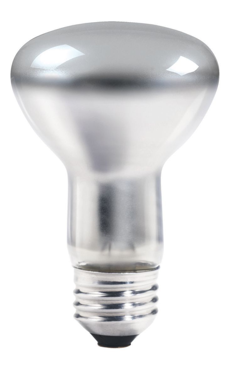 DuraMax Reflector Flood I DMRFLD Philips lighting