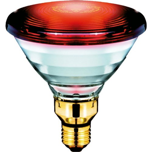 Philips 923806635606