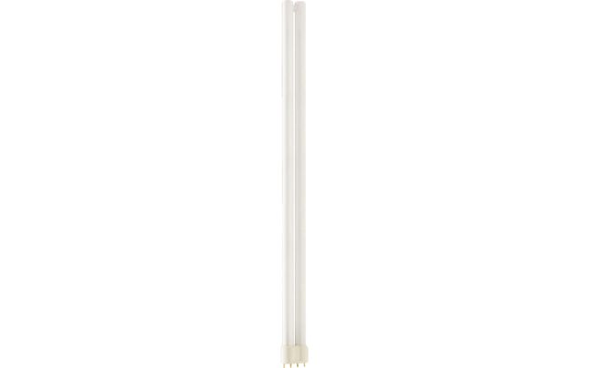 PL-L Long 4-Pin Base
