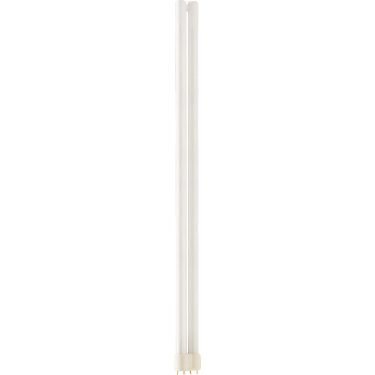 MASTER PL-L 80W/830/4P 1CT/25 | 927909583070 | Philips lighting