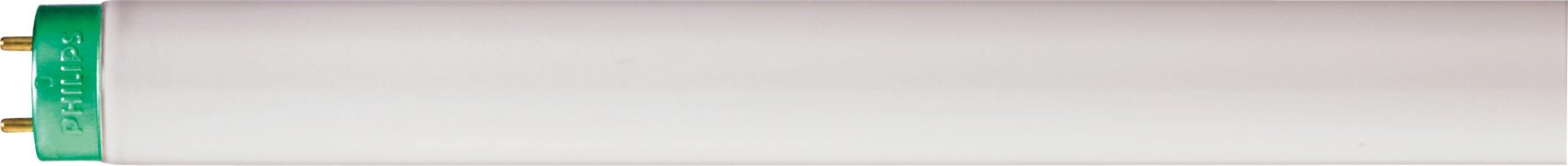 Fluorescent lamps and starters