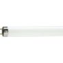Fluorescent lamps and starters