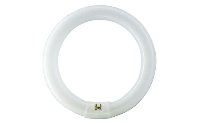 Circline