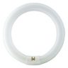 FC8T9/COOL WHITE PLUS