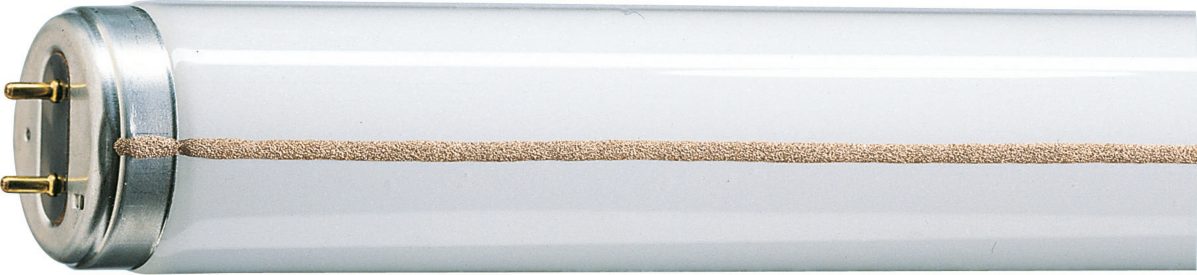 TL-M Rapid Start Super 80