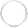 MASTER TL5 Circular 22W/830 1CT/10