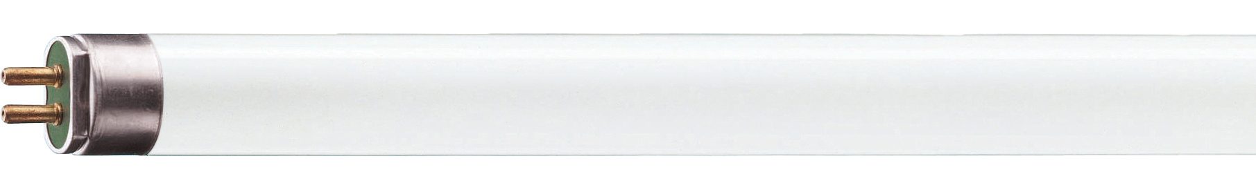 T5 High Output