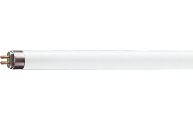 T5 High Output