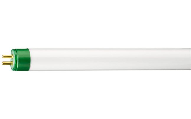 T5 High Output Energy Advantage