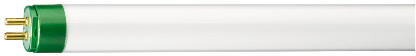 Fluorescent lamps and starters