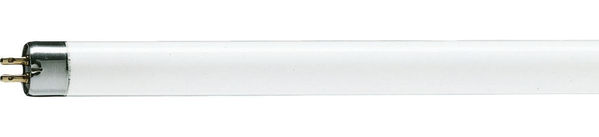 T5 Preheat