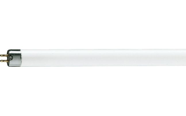 T5 Preheat