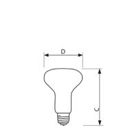  Single Contact Medium Screw R-20 (R20) Frosted