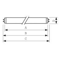  Medium Bi-Pin Fluorescent 38 mm (T12)