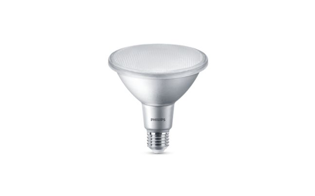 MASTER VALUE LEDspot PAR