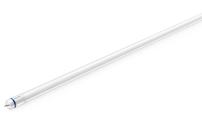 MasterClass InstantFit (UL Type-A) T8