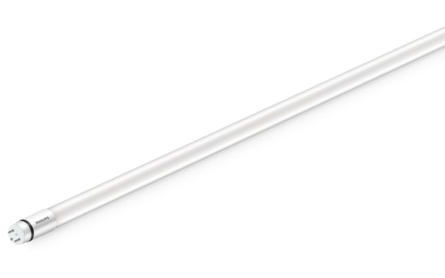 MasterClass MainsFit (UL Type-B) T8