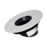 Calculite 3" round LED adjustable pinhole