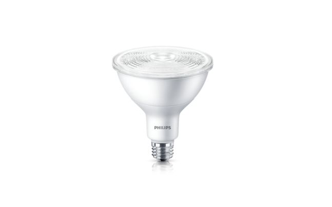 LED PAR38
