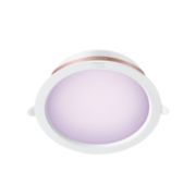 Smart LED 6 inch recessed downlight 12W