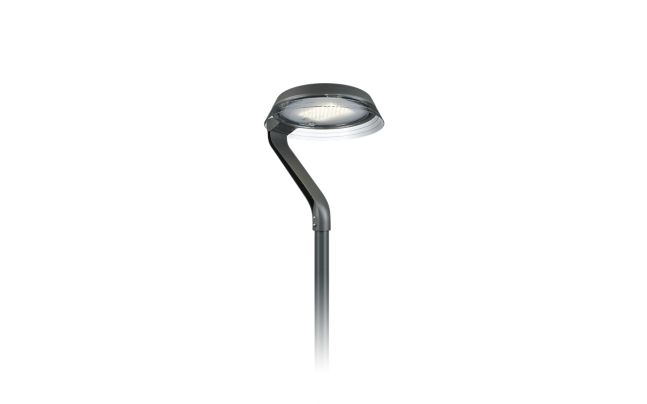 TownTune asimétrica Lyre DR