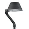 BDP272 LED59-4S/830 II DW50 DR CLO LS-6